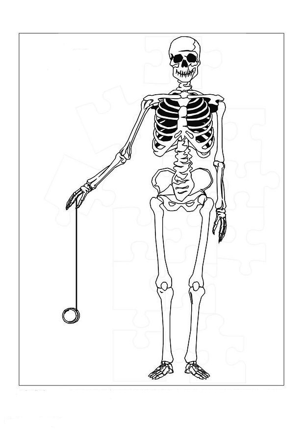 Plansa de colorat cu Biologie 86 62